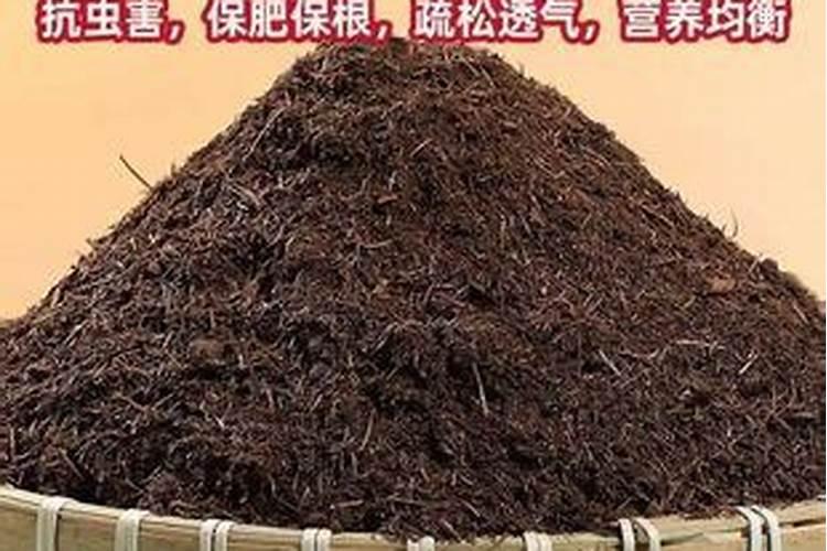 螺蛳肉的功效和禁忌