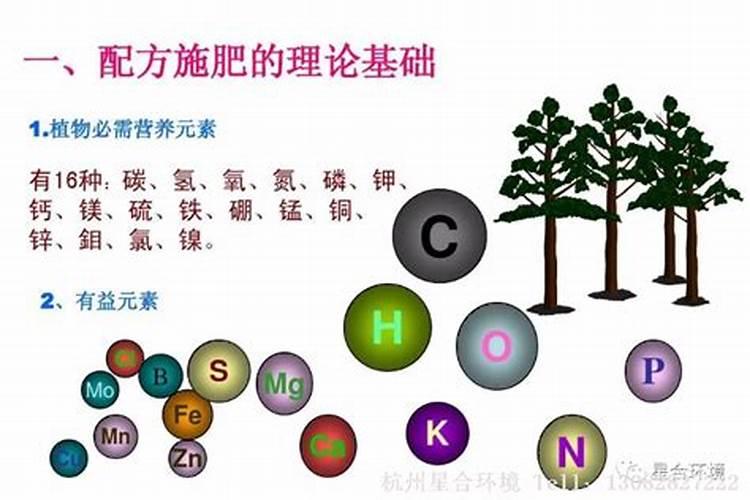 树木长粗用什么肥料？