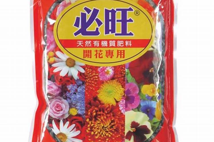 长寿花的养殖方法及图片