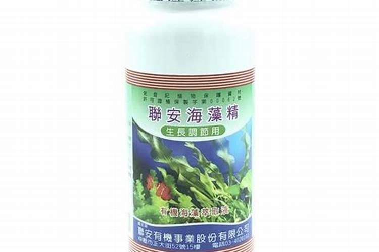 刚入盆两天月季可以用海藻精吗