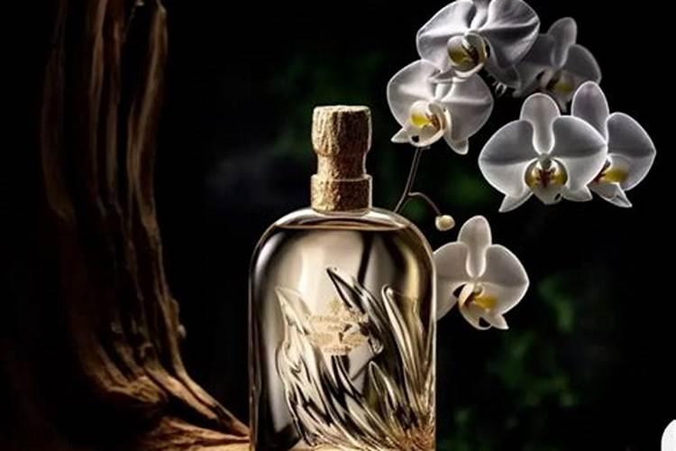 三角梅不开花施什么肥 怎么施肥效果好