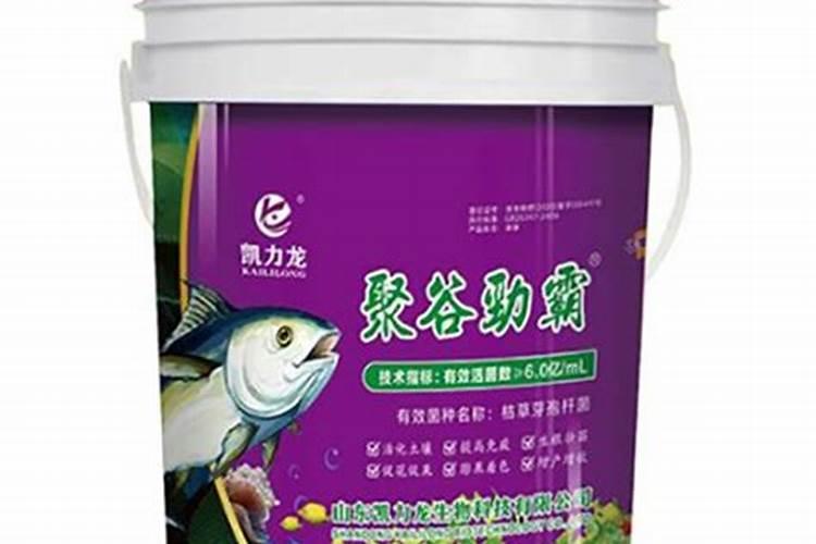 月季过冬这三点重要如何不影响来年开花