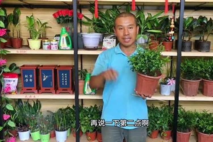 氮肥可以兑水浇花吗