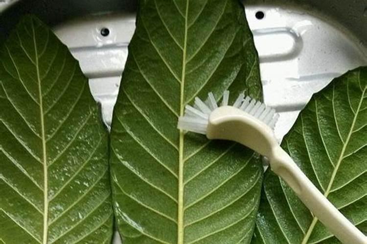 枇杷打不打叶面肥？如果打怎样打