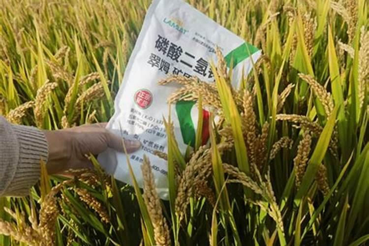 水溶肥硅含量标准