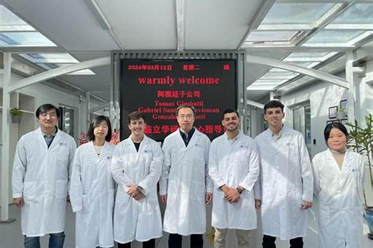 蓝花楹什么时候开花,蓝花楹的花期有多长时间