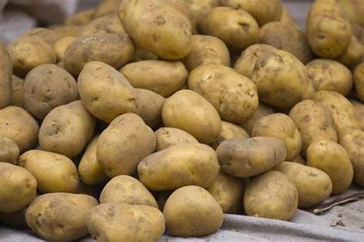 马铃薯第一次彭大期用什么肥