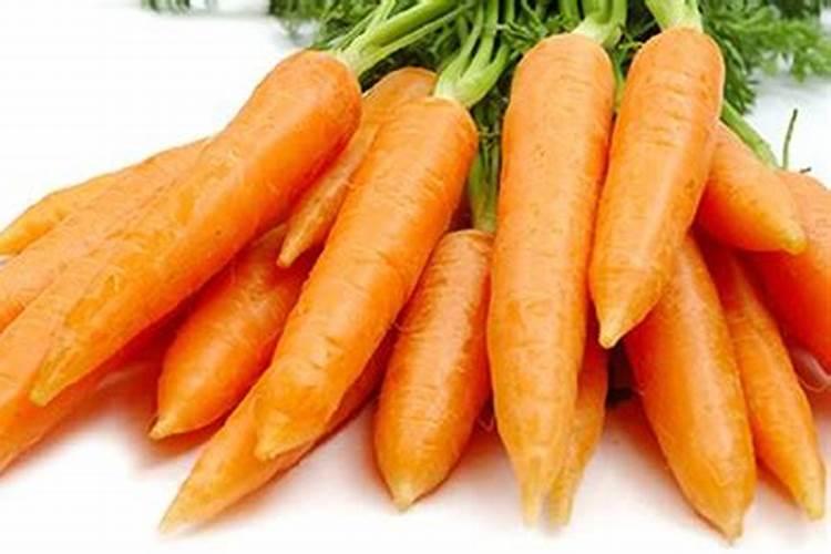 自己种胡罗卜吃用什么肥料好