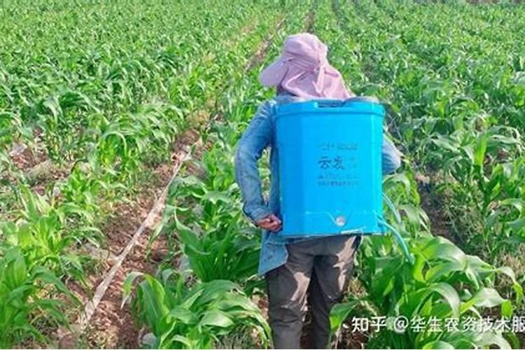 叶面肥与农药混配的注意事项