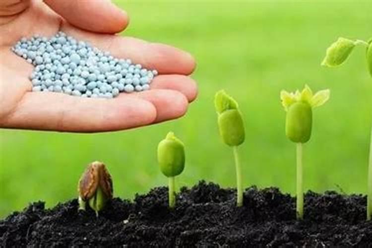 缓控释肥简介