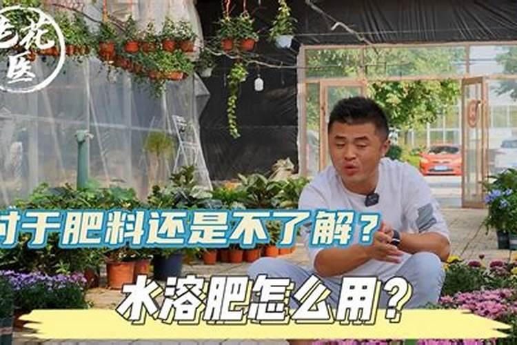 种植花卉用复合肥好还是水溶肥好？