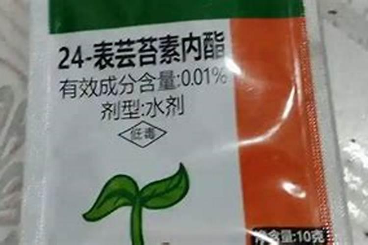 樟州杨梅农后期喷什么药果实变黑亮？