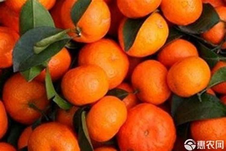 果树叶面肥用什么较好？