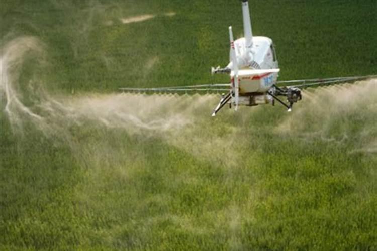 给小麦打叶面肥,是孕穗期还是出齐穗后呢？