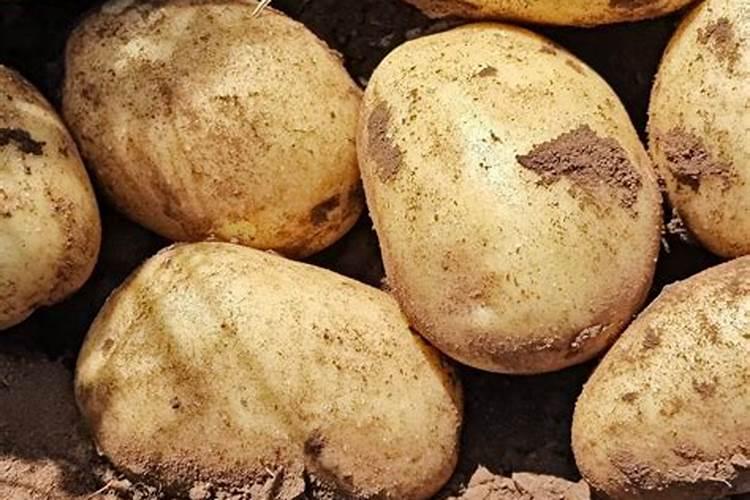 白加黑效果如何？？？!