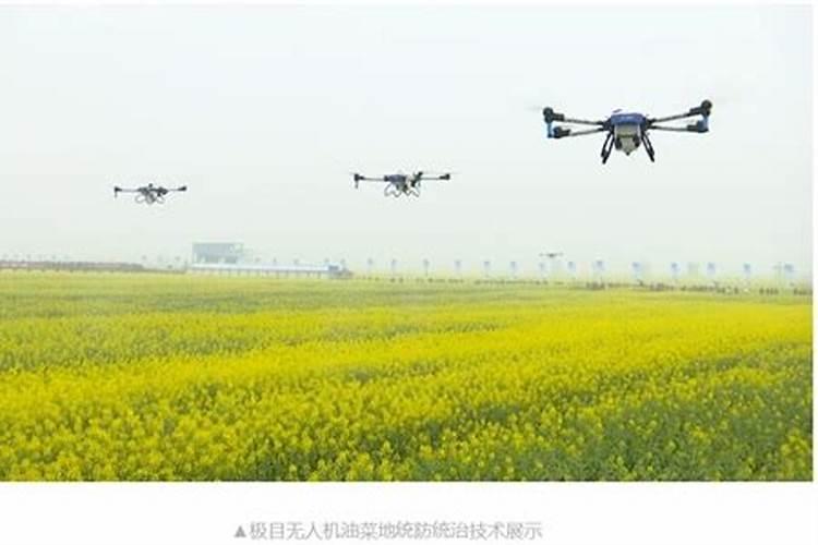 一亩地用多少硼肥 如何正确施硼肥