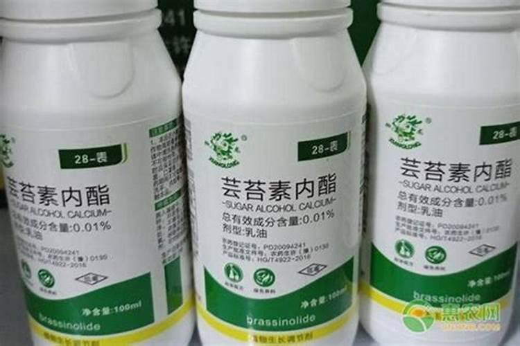 飞机打除草剂加芸苔素好吗