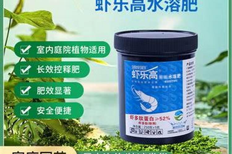 云南有哪些化肥厂有出口的资质公司