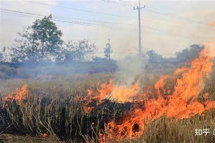 焚烧秸秆的好处与坏处