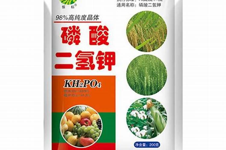 怎么让大蒜早出蒜苔