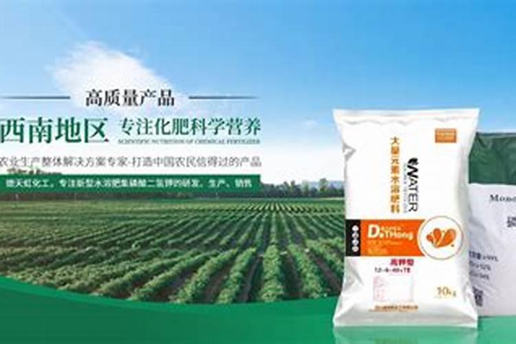 西洋鹃的养殖方法