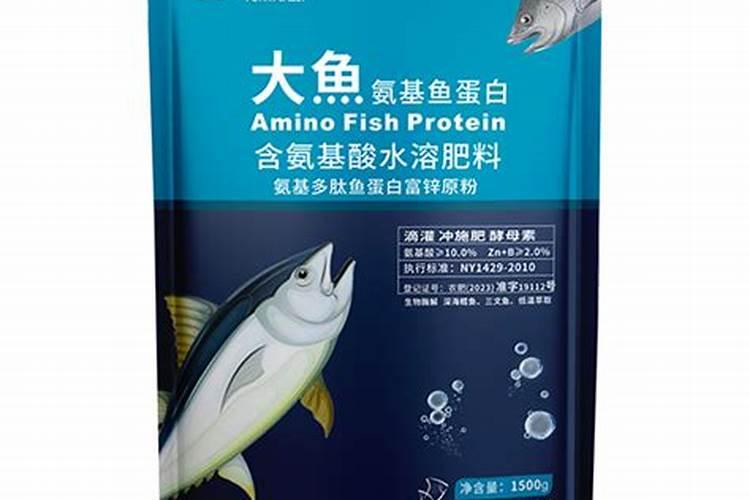 大头鱼吃什么饲料