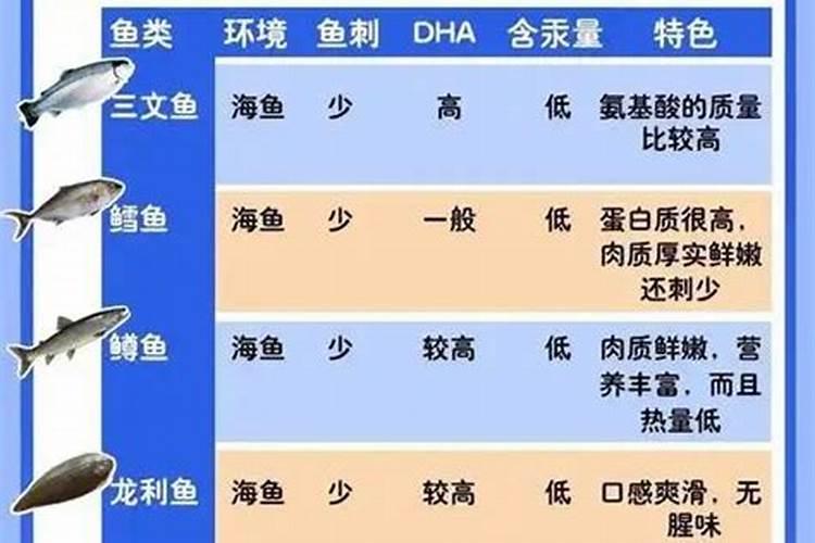 大鱼小鱼的营养区别