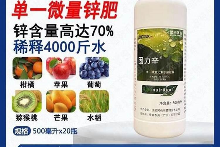 月季施什么肥(两种方案)