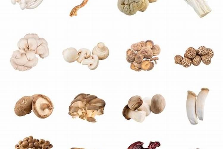 全球最臭食物排行榜!臭豆腐只有第10 惨输冠军20倍!