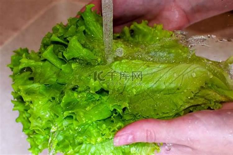 瓜果蔬菜叶面肥的正确使用方法(什么时候打叶面肥好)