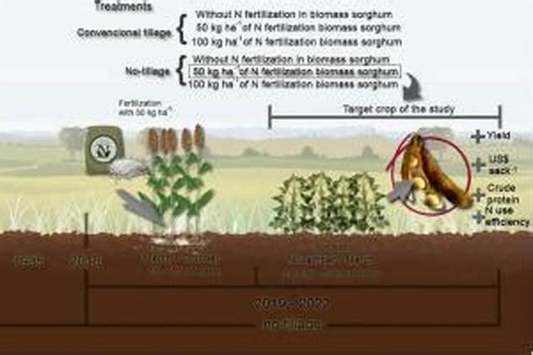 高粱什么时候追肥合适