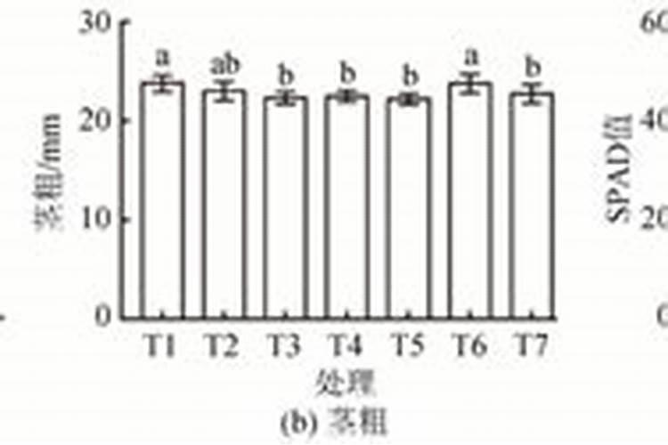 五种常见的氮肥是什么