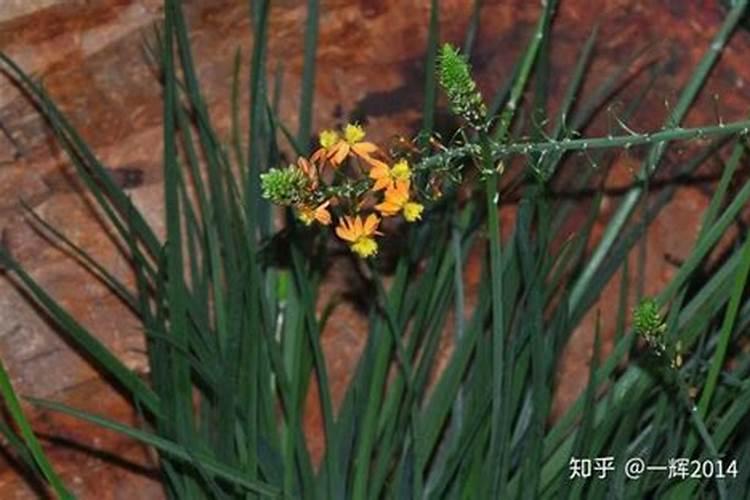 磷矿有哪几方面用途？