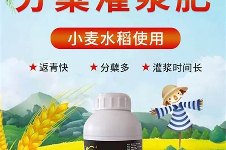 钾肥正确使用方法