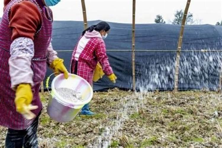 中学化学中:有关磷酸氢钙、重钙及磷肥的工业生产原理？(考虑原料的使用...