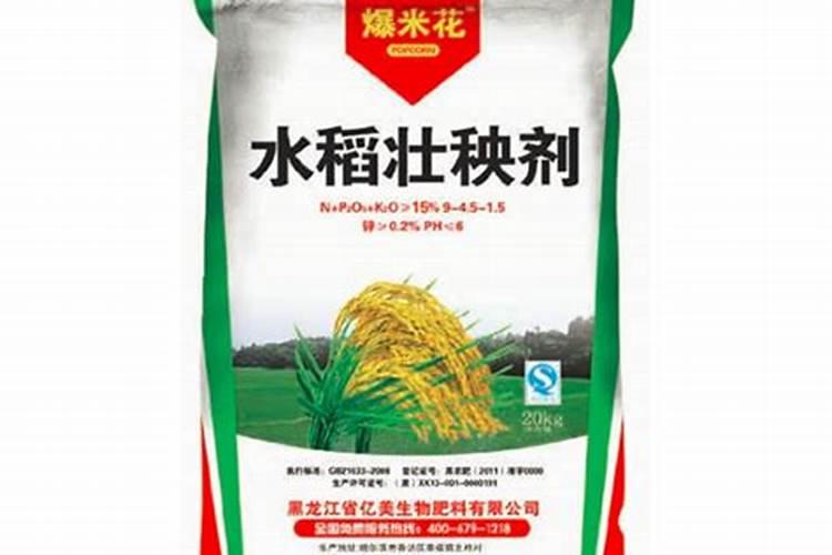 壮秧剂能伴土里种菜吗:培育油菜苗？