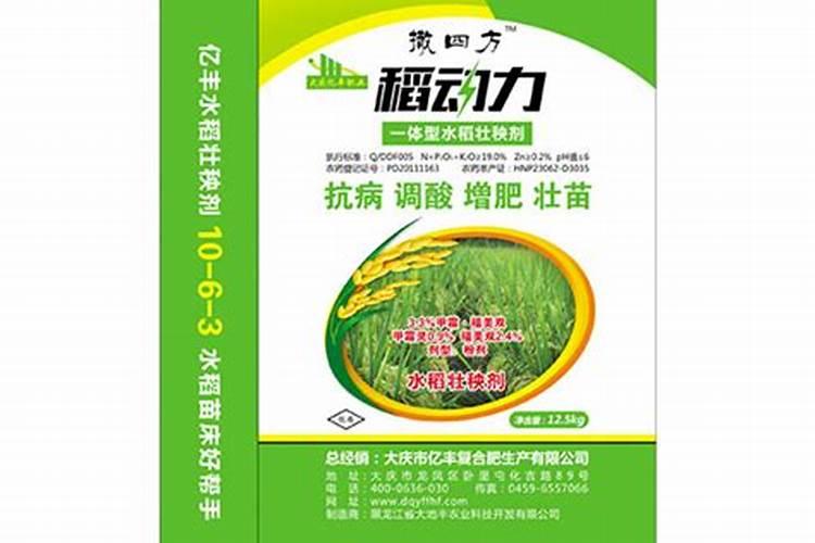 种植广东番茄方法有什么