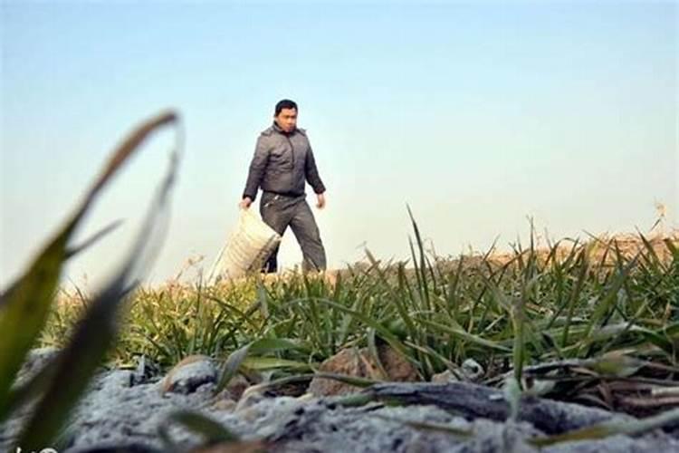 钾肥:供应渐显宽松 价格理性回落