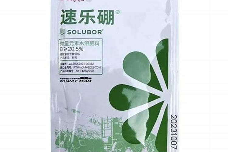 绿植龙柏移栽怎么收费