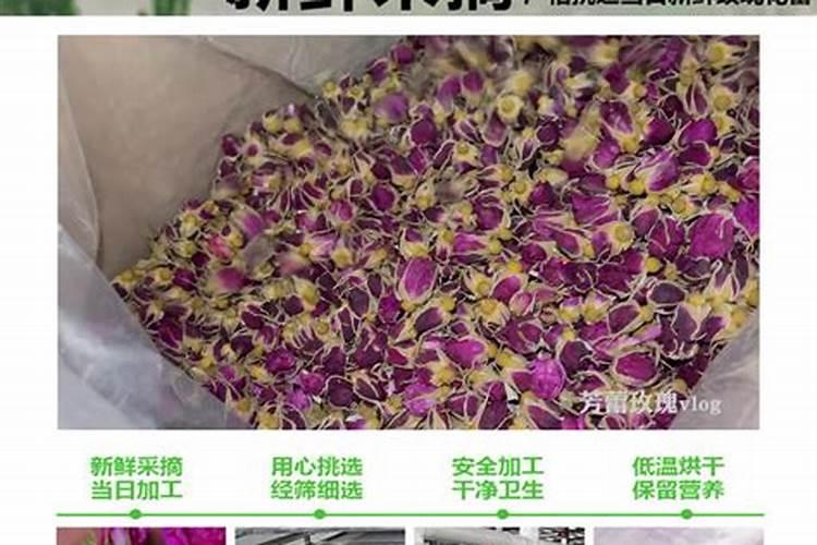 玫瑰花上有黄痕怎么回事？