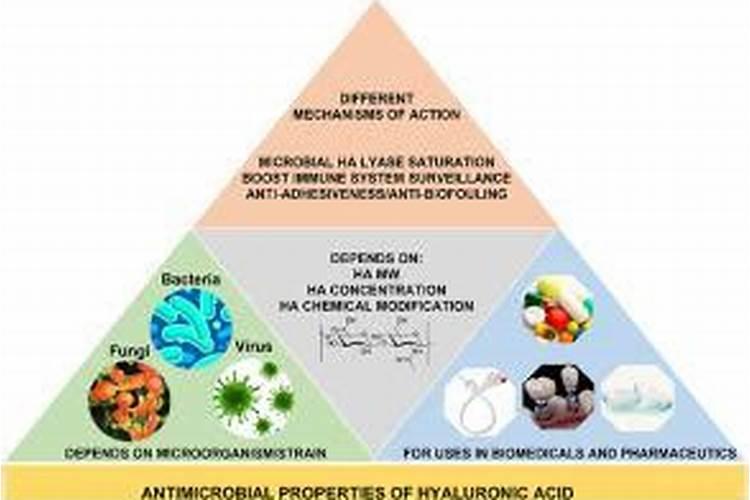 为什么长有菌根的柑橘类树木需要的肥料较少？