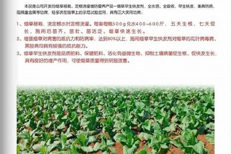 甘乐有机硅水溶肥的作用与功效