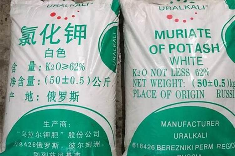 钾肥就是氯化钾吗？？