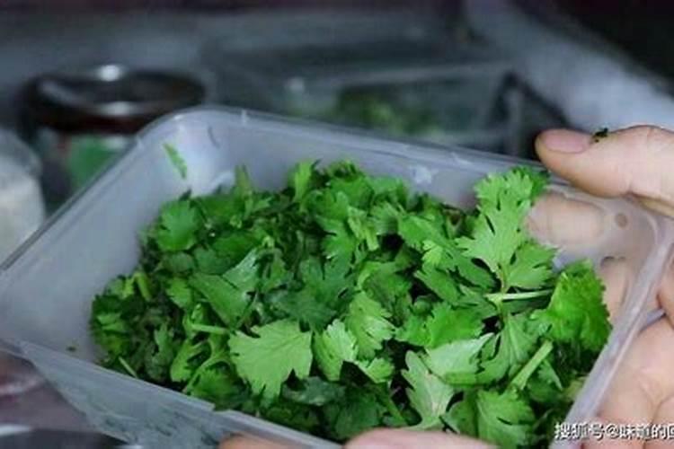 怎么能让香菜快速变绿发亮？生长的更好一些