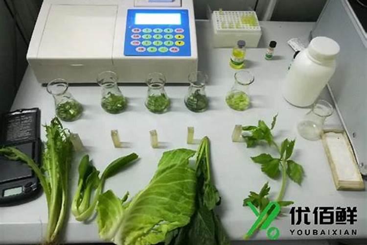 水溶肥十大名牌,摩力水溶肥效果极好