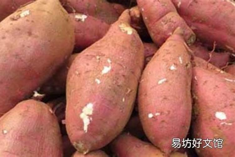 红薯两个月用什么肥料