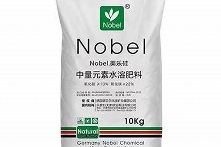 诺元素是什么意思