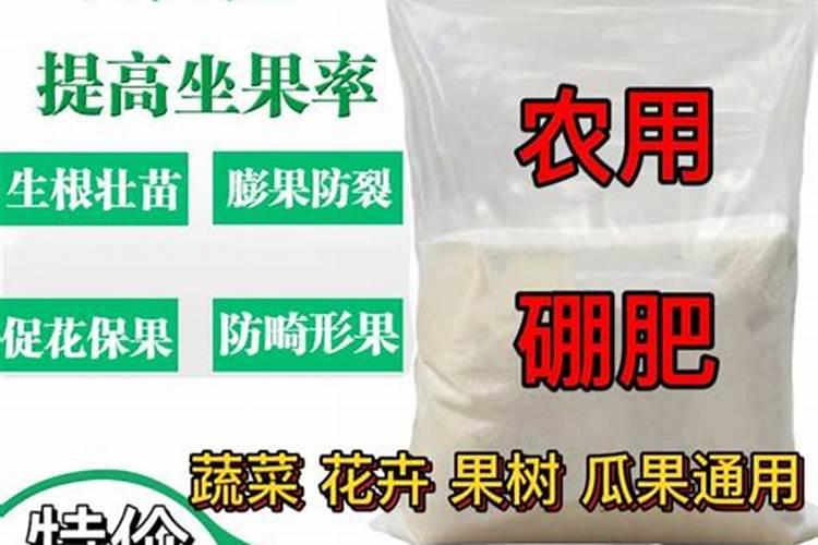 花生增产什么时候打药