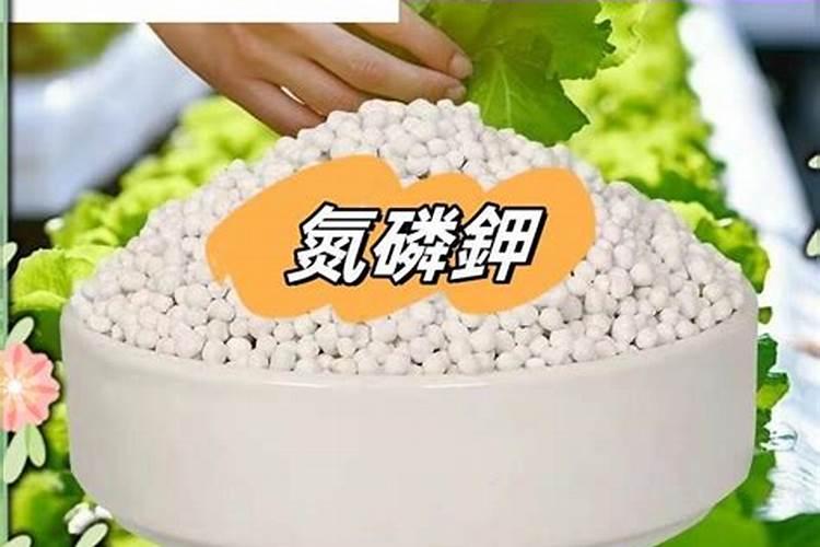 氮肥可以兑水浇花吗