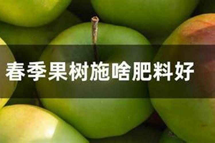 生根壮苗用什么肥料最好